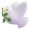 dove emoji