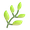 herb emoji