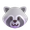 raccoon emoji